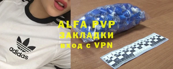 стаф Аркадак