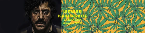 стаф Аркадак