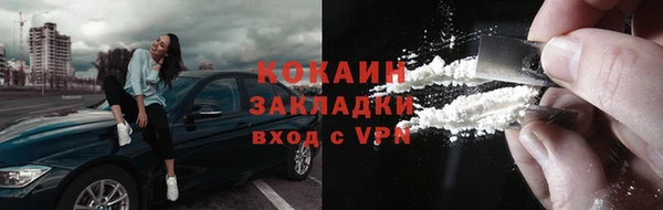 стаф Аркадак