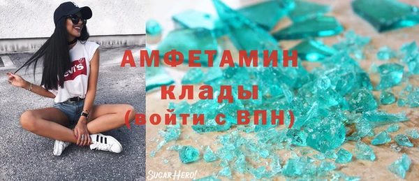 стаф Аркадак