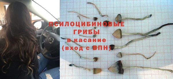 герыч Алзамай